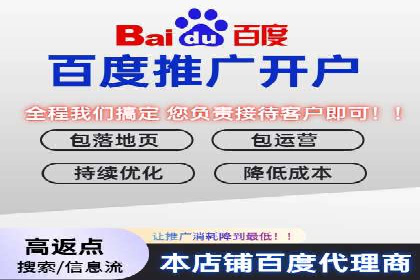 SEM搜索引擎优化策略解析与应用案例